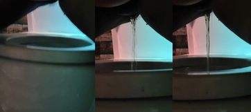 Unexpected Mishap in Sri Lanka: A Wild Adventure with SLWildGirl!