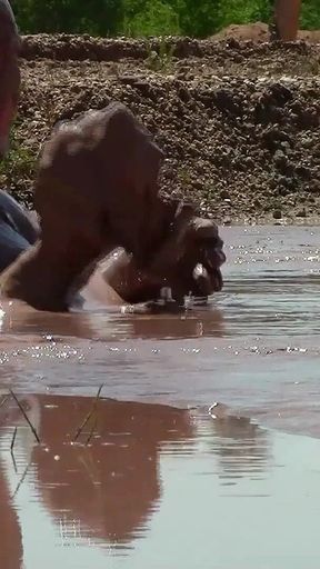 Deep, Creamy Brown Mud Bath in a Sand Pit
