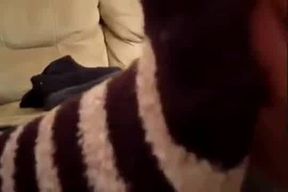 Jamie Daniels sweaty feet worship