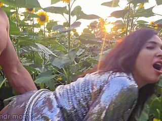 Caught Red-Handed: Step daddy and Me Going at It Hard in the Sunflower Field-Salute to Spouse ??