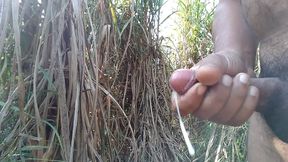 Outdoor Handjob Ends in Sweet Cumshot Amid Sugar Cane Field