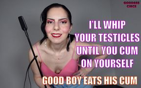 I’ll Whip Your Testicles Until You Cum on Yourself - Good Boy Eats His Cum