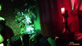 Secrets Lurk in This Shadows-filled Room