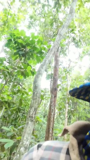 Captivating moment from &quot;Amateur Thai villagers have sex in the forest public 4K 18+&quot;