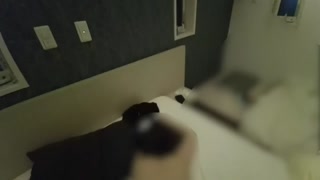 【個人撮影】バックでガン突きオホ声悶絶アクメ！！ケツぶっかけ！/素人/変態/淫乱/Hentai/夫婦/人妻/ハメ撮り/パイパン/痙攣/失神/種付け/潮吹き/主観/おほイキ/声/おほ声/キチ声