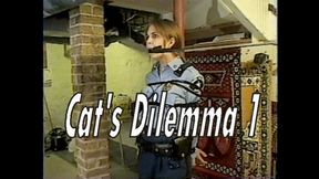 Cat’s Dilemma, One