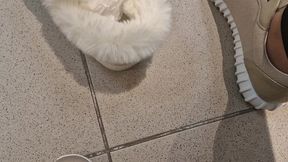 in the shoe shop we try on all the slippers