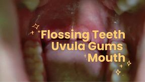 Savory Flossing Uvula and Mouth Tour Gum Stretching Sensations MP4 1080X1920 Ultra HD