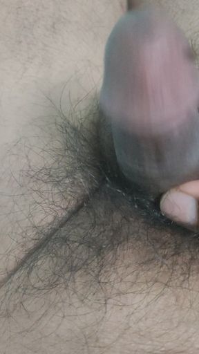 Indian penis