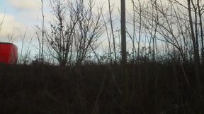 Cruising gent's toilets 2