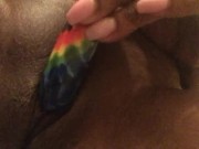 Kitty Cat Play