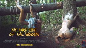 Deep-throated, Anal&#x1F44C;-Sodomized, Gang-Banged in the Dark Woods of Eternal Pleasure
