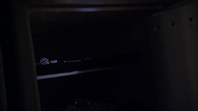 ginger lea enjoys getting fucked in the shower