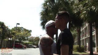 Tätowierte, schwule Kerle mit riesigen Schwänzen ficken ungeschützt, lutschen tief und spritzen ins Gesicht.