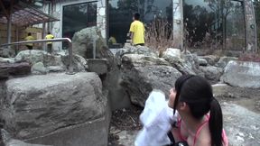 Insatiable Ai Uehara Gangbanged by Hung Stallions - Japanese Orgy Madness