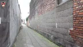 Whether You Like Flemish Sausage S3