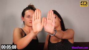 Comparing Hands - 4K MP4