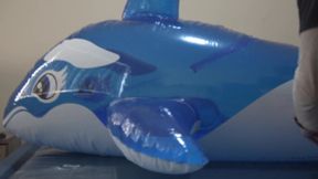 Timelapsed unboxing, inflating and deflating modded blimp whale