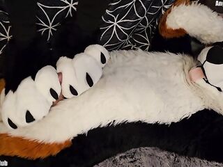 pawslut puppy gets back to back pawjobs with giant 2nd ejaculation at the end