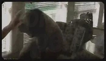 Mature Blonde Stripper Cams Live & Pleases Fans