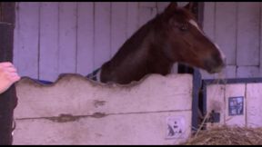 Amatuer German babe rides dick in the barn