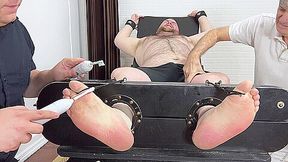 Tommy Bearhama Tickled - Tommy