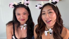 gg-sakura lin (hot asian hentai heffers taste each other s cum joi)-ndgg044