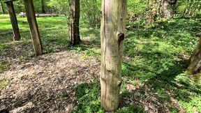 Hidden Pleasure Slap