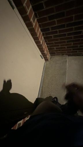 Got Super Horny While Walking Outside At Night So I Stopped By A Random Building To Goon My Penis Real Quick