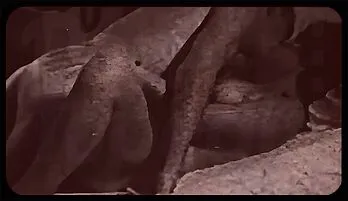 Retro MILF Seduction: Classic Blowjob & Doggystyle Frenzy Premium video