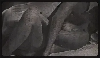 Retro MILF Seduction: Classic Blowjob & Doggystyle Frenzy