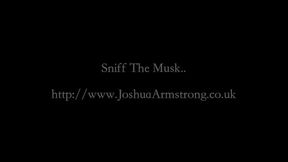 Sniff The Musk