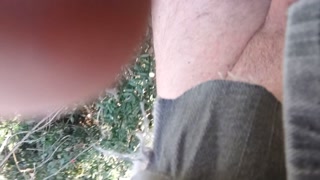 testicle torture padlock and walk in tzsticule torture, brambles in the forest for 1 km