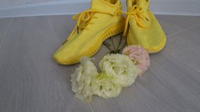 Crushed eustoma with yellow sneakers dd