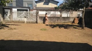 I drop the towel outside and pissing naked