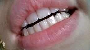 Mouth Cam - Zaurus - 3RD