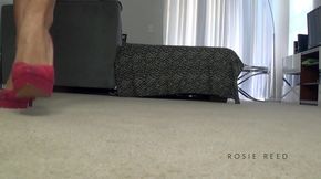Flip Flops, Wedges and Heels HD