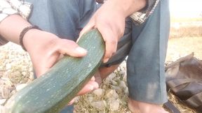 Ass fuck big cock  vegiteble