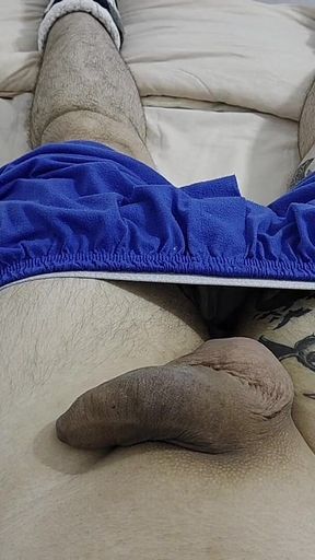 A Resting Cock