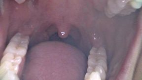 Mouth Cam - Terra Mizu