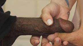 ”Blonde Lena Moon & her tbabe butt gets a big black dick”