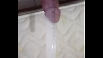 Penis 14cm