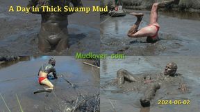 A Day in Thick Swamp Mud, 2024-06-02