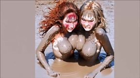 Tit Fight in mud
