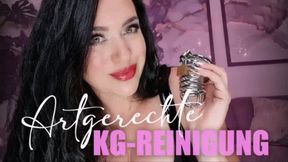 Artgerechte KG-Reinigung (kleine Version)