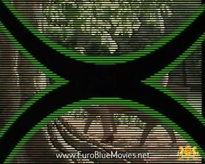 Erotic Passion 4 (1990)