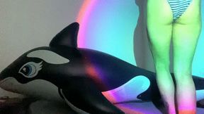 Rough playing and deflating orca
