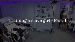 Training The Slavegirl 1