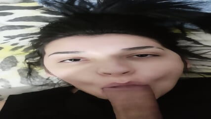 Namorada gostosa mamando a rola do namorado