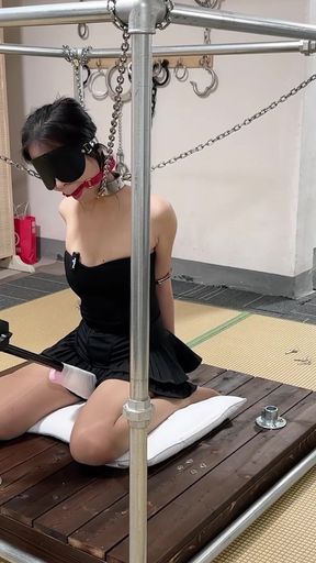 Sexy Girlfriend Training Diary 12